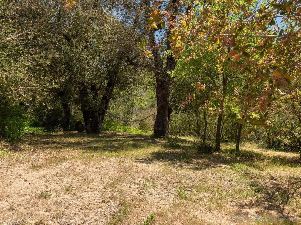 6050 Engineers Road Julian, CA 92036 - Photo 24 of 64 a view of a yard with a tree