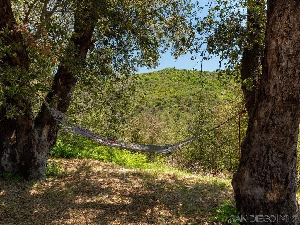 6050 Engineers Road Julian, CA 92036 - Photo 25 of 64 a view of a yard with wooden fence