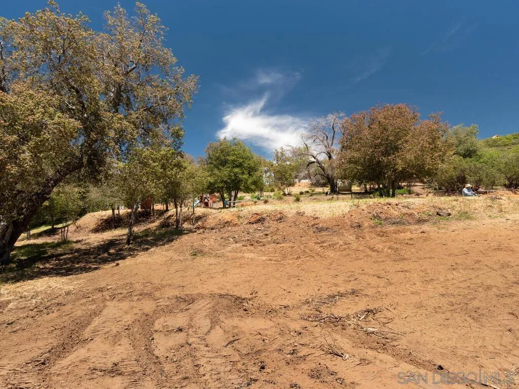 6050 Engineers Road Julian, CA 92036 - Photo 28 of 64 a view of dirt yard with a tree
