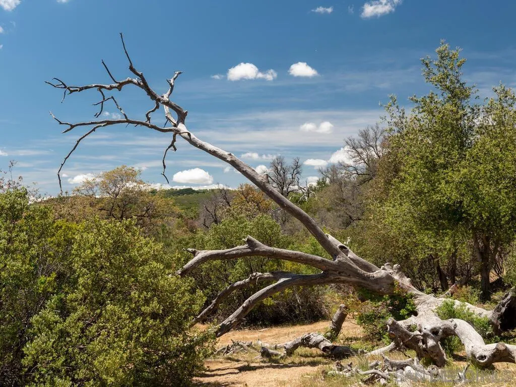 6050 Engineers Road Julian, CA 92036 - Photo 29 of 64