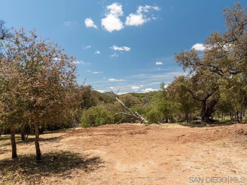 6050 Engineers Road Julian, CA 92036 - Photo 30 of 64 a view of a yard with a tree
