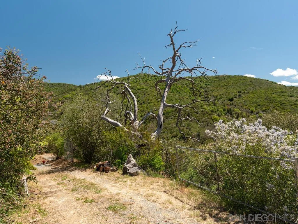 6050 Engineers Road Julian, CA 92036 - Photo 3 of 64 a picture of a yard