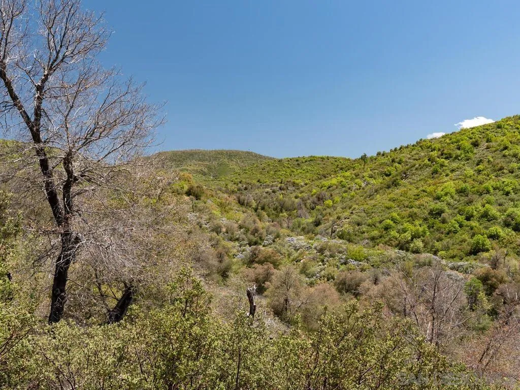 6050 Engineers Road Julian, CA 92036 - Photo 32 of 64