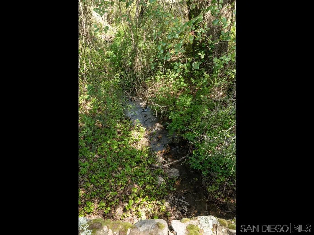 6050 Engineers Road Julian, CA 92036 - Photo 33 of 64 a view of a tree with a tree