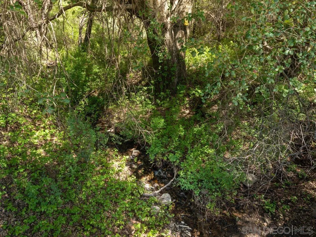 6050 Engineers Road Julian, CA 92036 - Photo 34 of 64 a view of a lush green forest