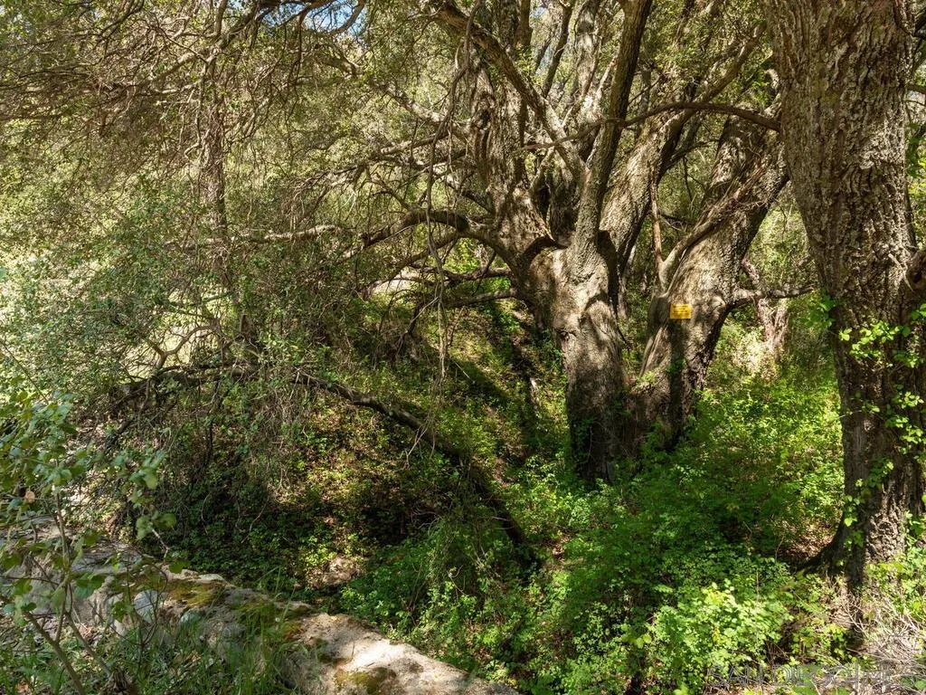 6050 Engineers Road Julian, CA 92036 - Photo 35 of 64