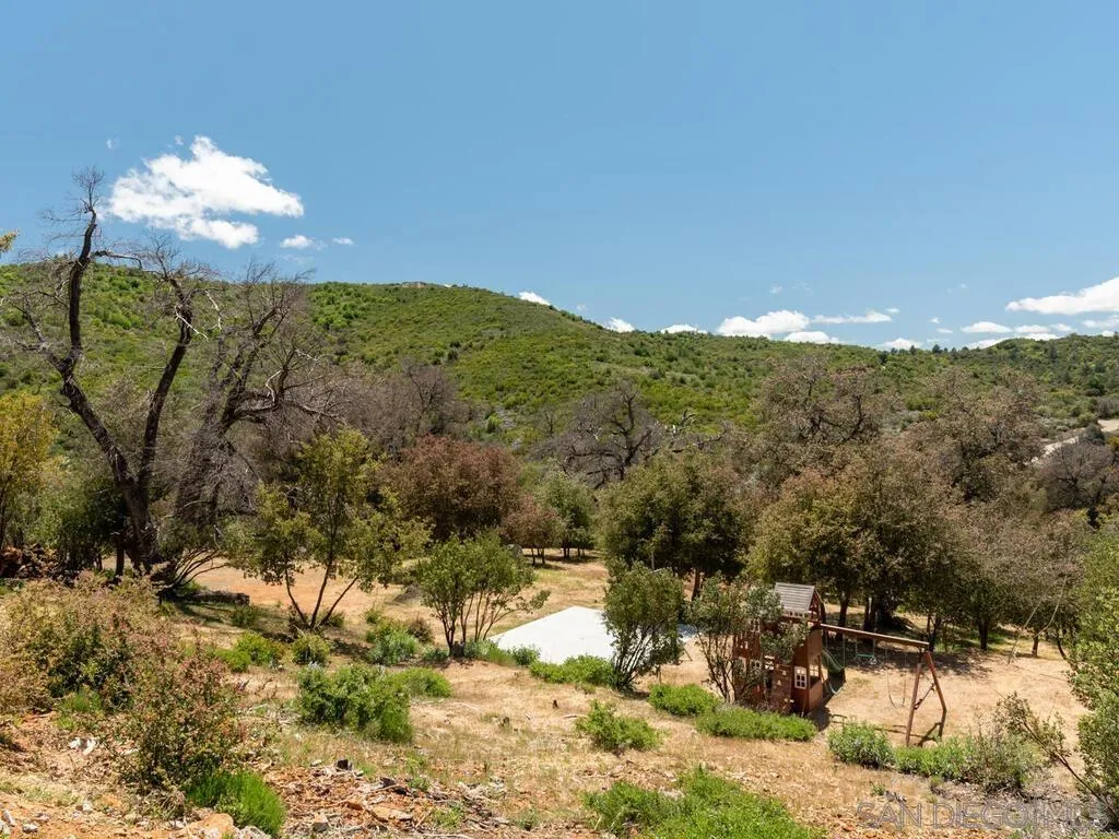 6050 Engineers Road Julian, CA 92036 - Photo 6 of 64 a view of a yard with a mountain