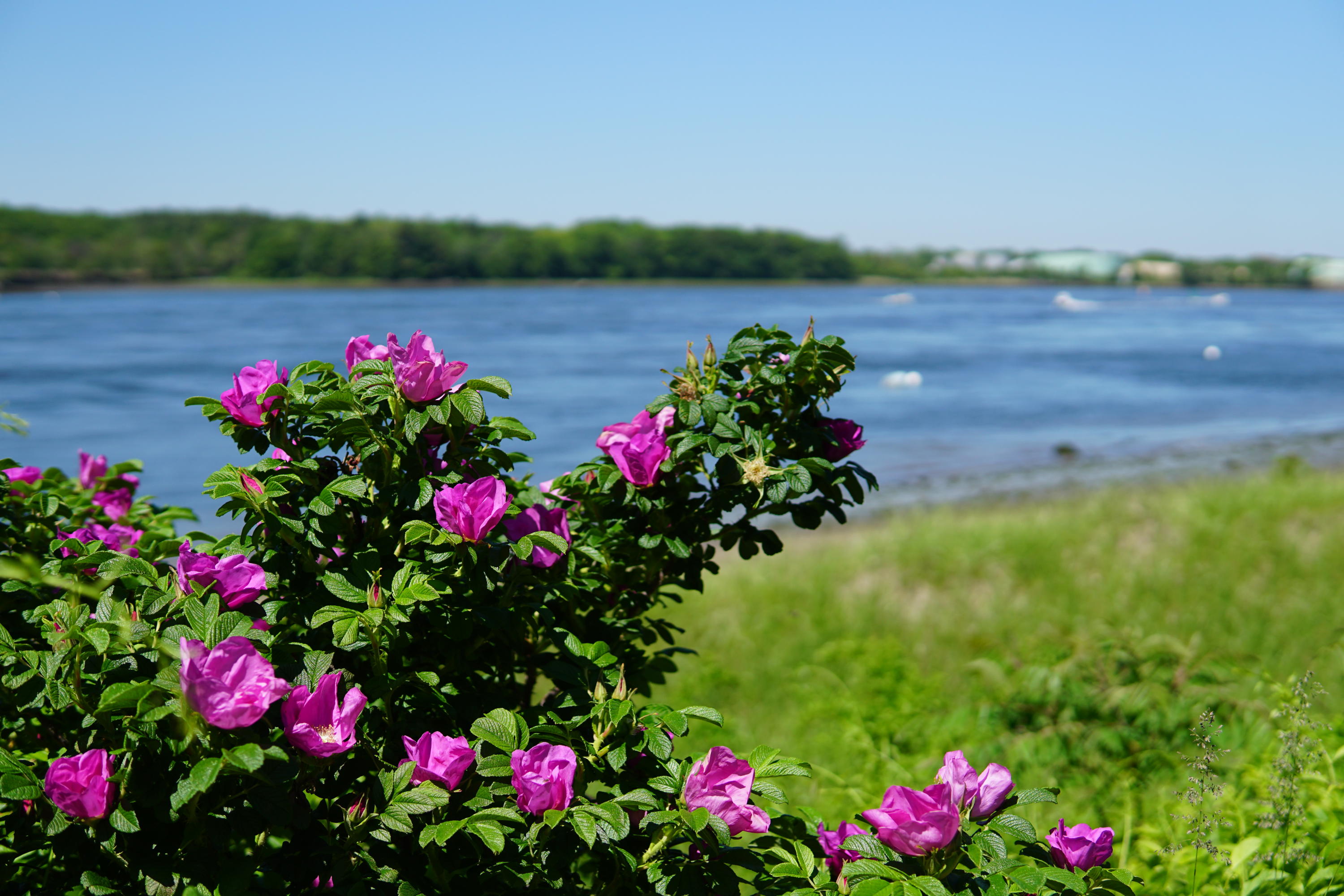 1148 State Road Eliot, ME 03903 - Photo 59 of 59 BoatBasin3