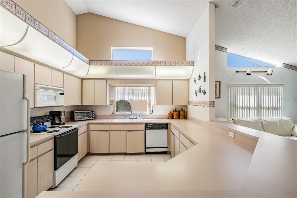 9641 Springmeadow Drive New Port Richey, FL 34655 - Photo 6 of 49 Gallery Image 6