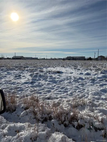 a view of a dry yard