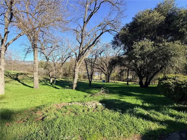 a view of backyard with green space