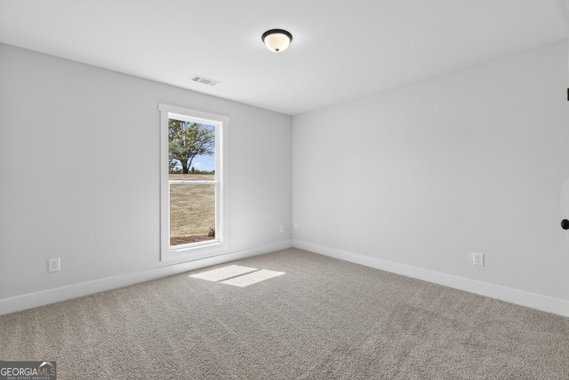 526 Oil Mill Road, Unit 9 Martin, GA 30557 - Photo 33 of 59