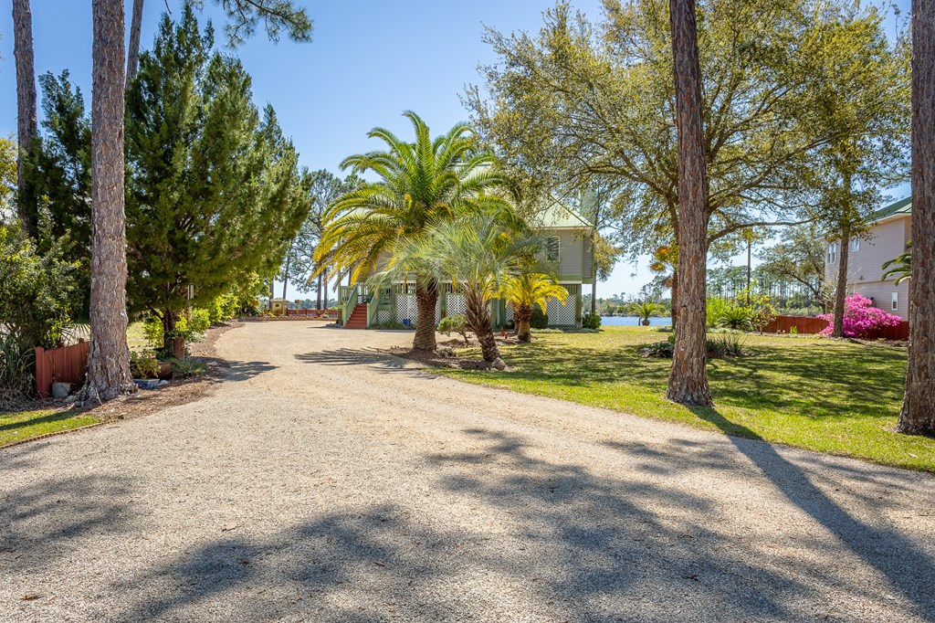 433 River Road Carrabelle, FL 32322 - Photo 52 of 55