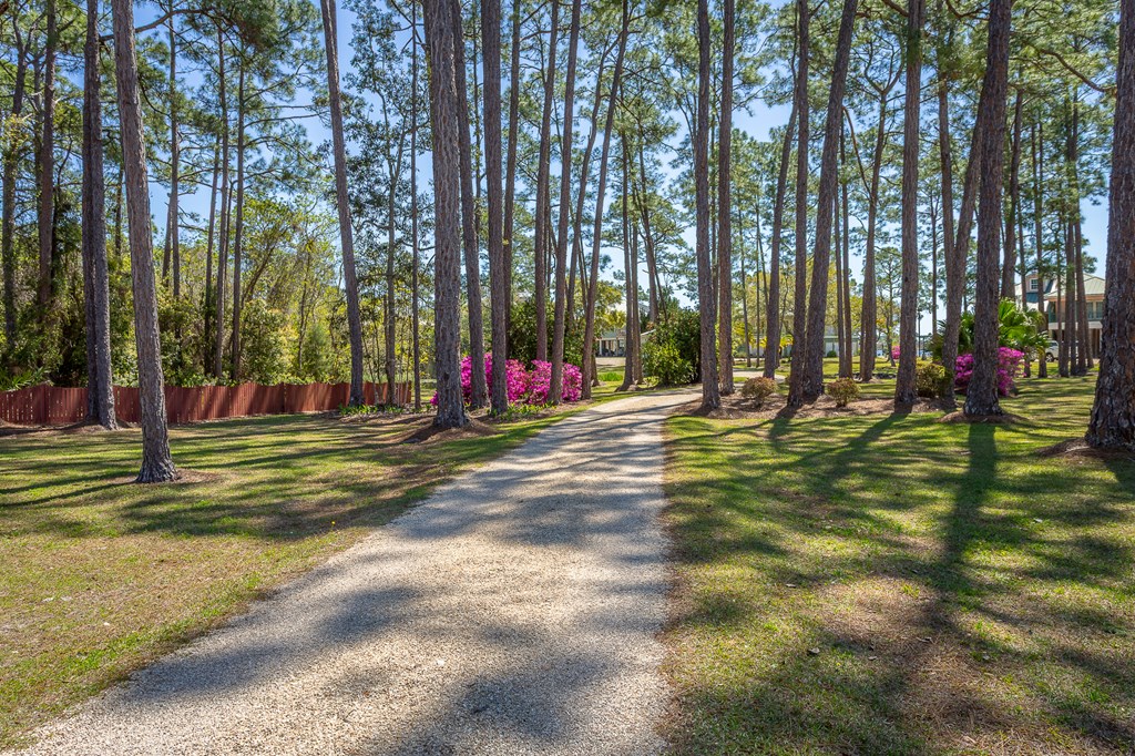 433 River Road Carrabelle, FL 32322 - Photo 53 of 55