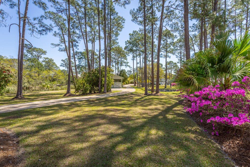 433 River Road Carrabelle, FL 32322 - Photo 54 of 55