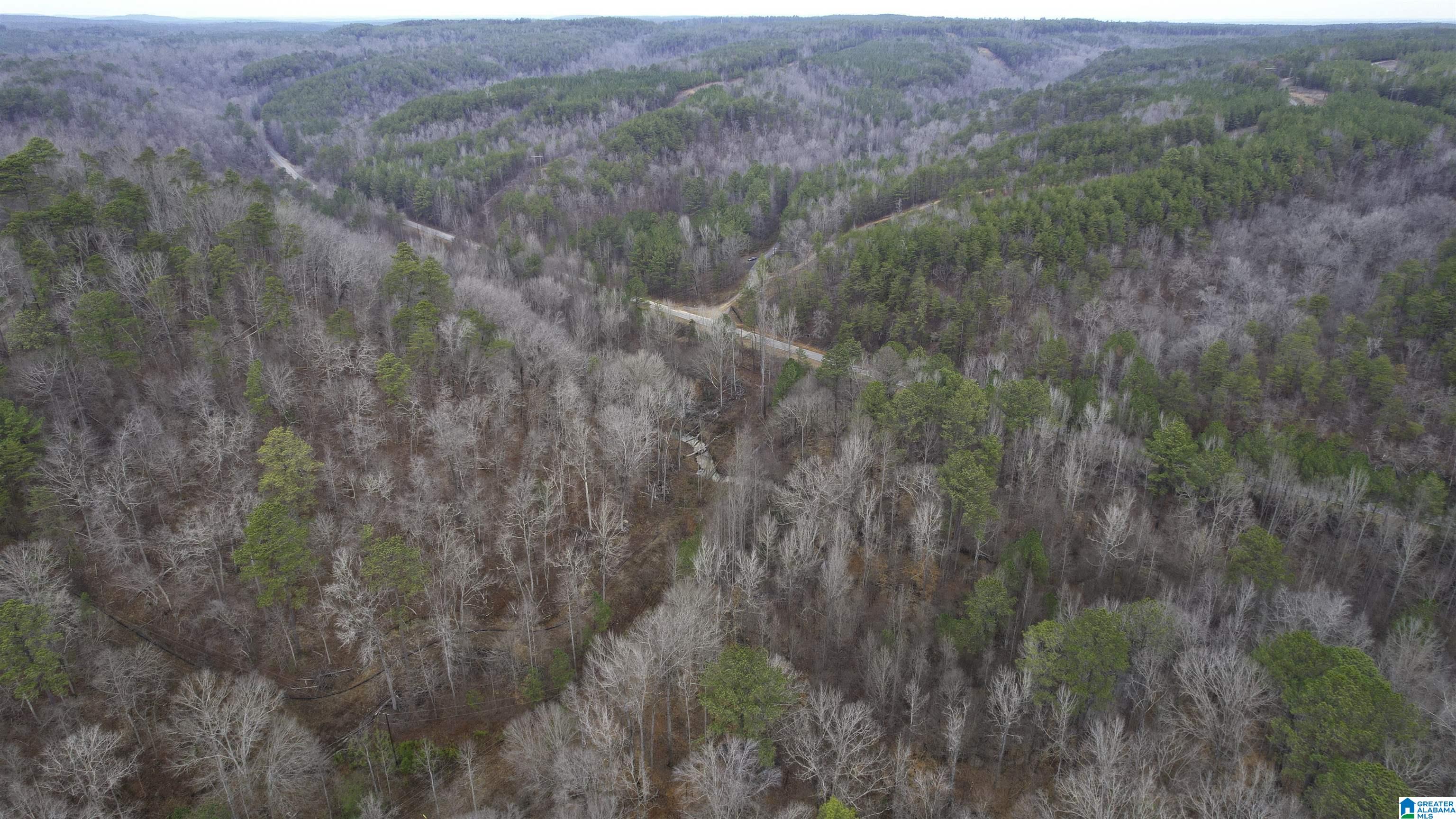 8751 Groundhog Road, Unit 41 ACRES Adger, AL 35006 - Photo 1 of 17