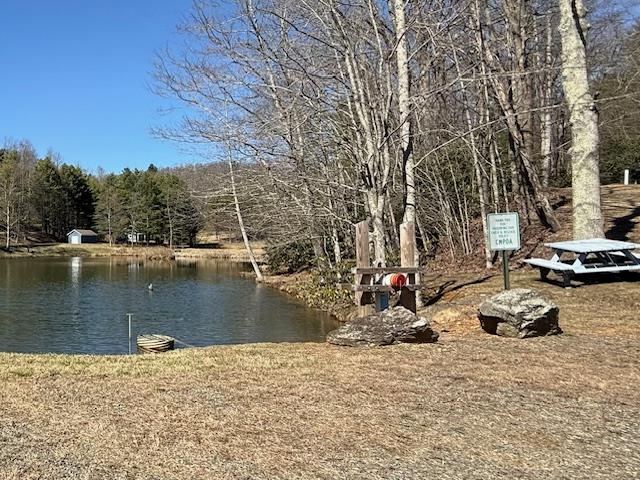 315 Flint Ridge Trail Fancy Gap, VA 24328 - Photo 33 of 46 Gallery Image 33