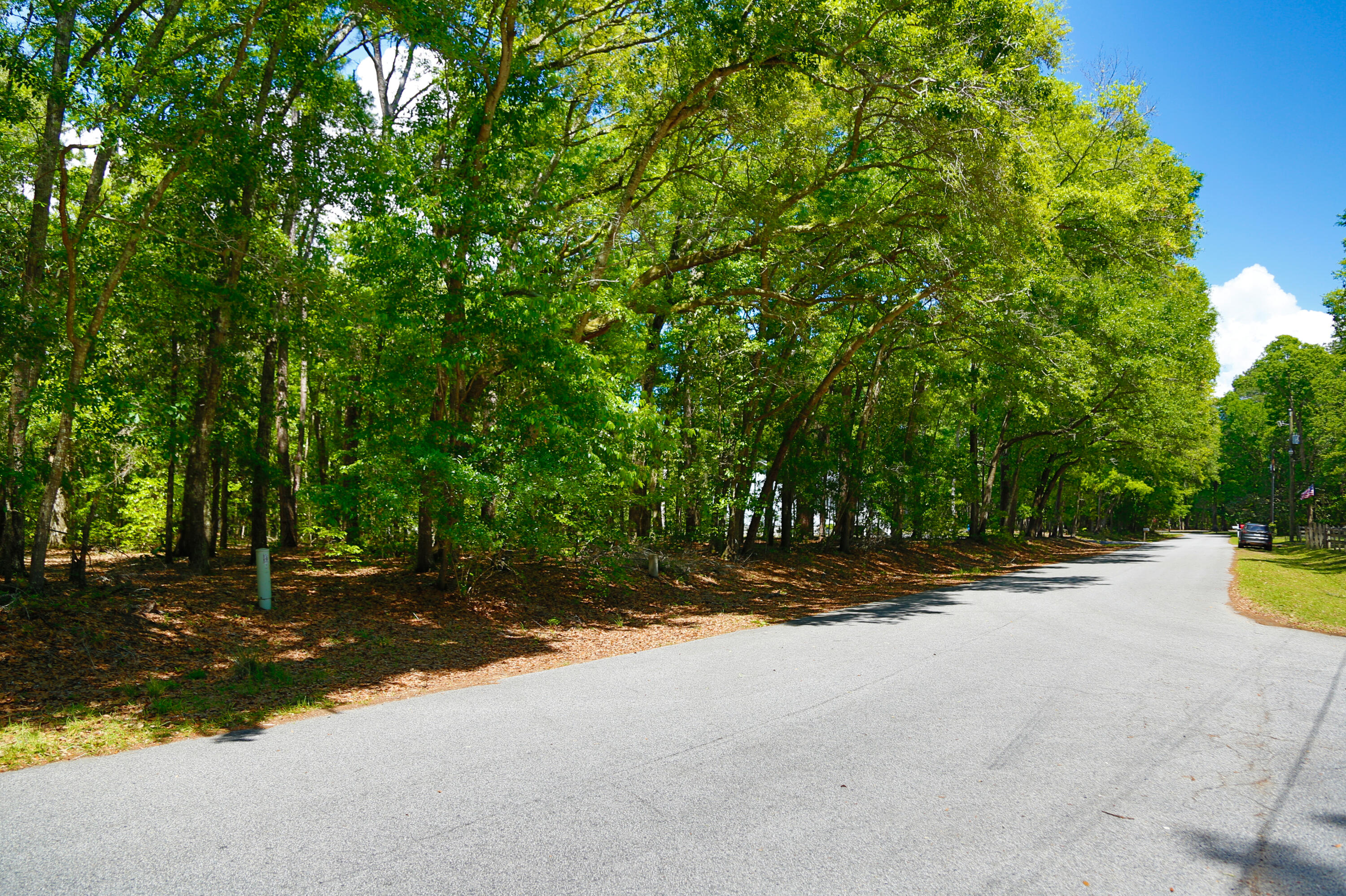 04.15.2023 - Dream Kinetics - Frances Y