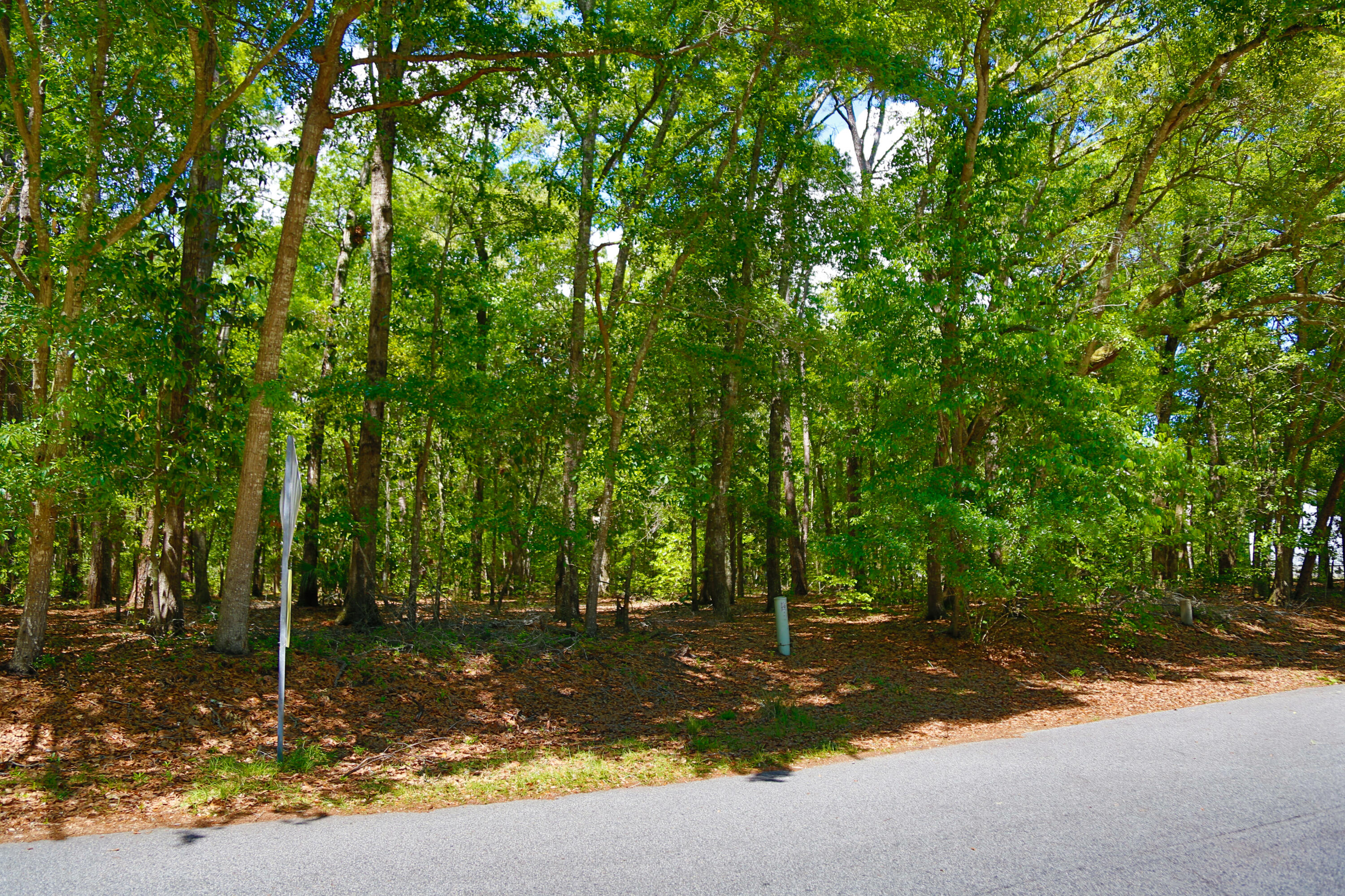 0 Francis Yonge Way Adams Run, SC 29426 - Photo 3 of 7 04.15.2023 - Dream Kinetics - Frances Y