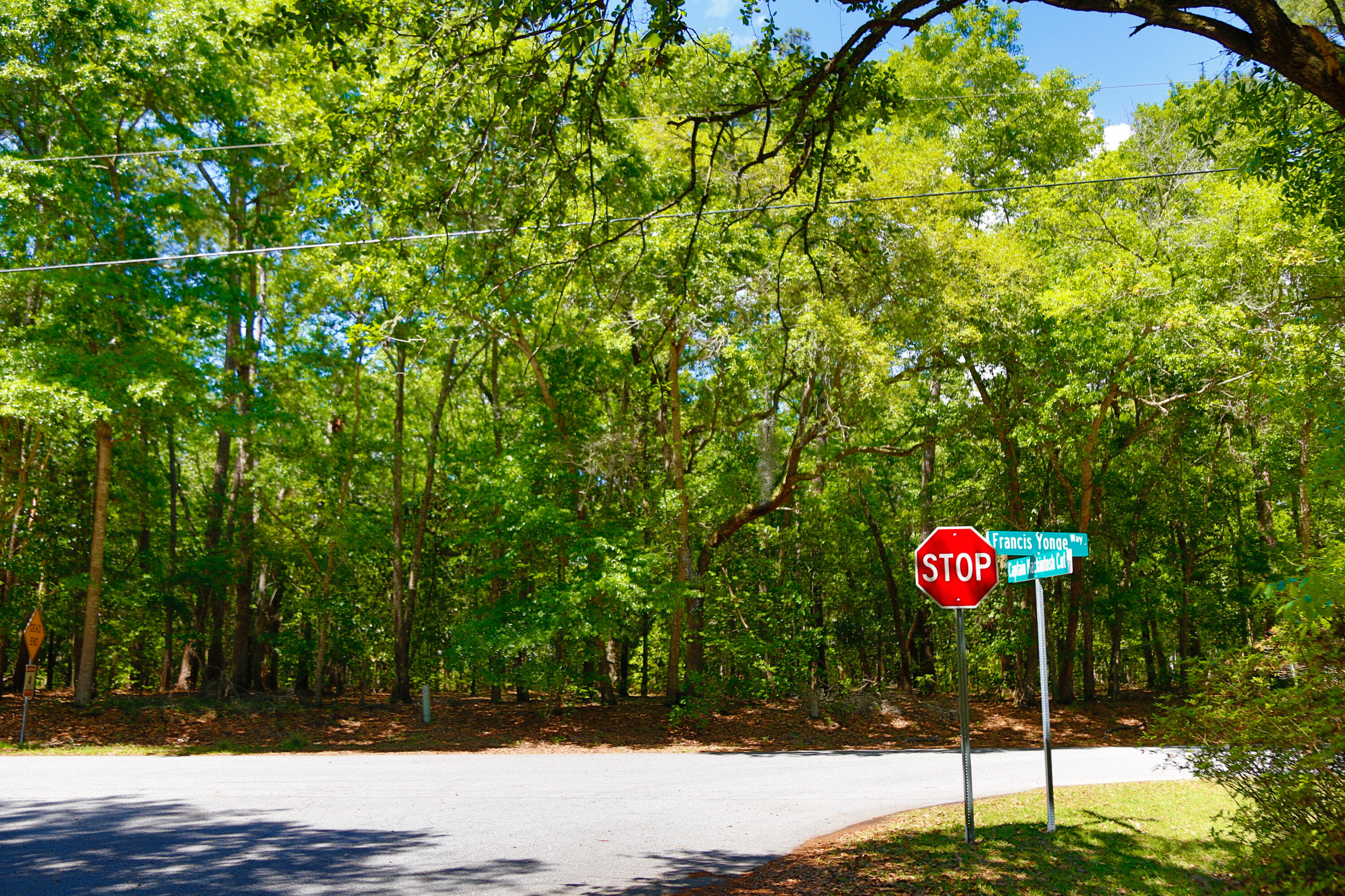 0 Francis Yonge Way Adams Run, SC 29426 - Photo 4 of 7 04.15.2023 - Dream Kinetics - Frances Y