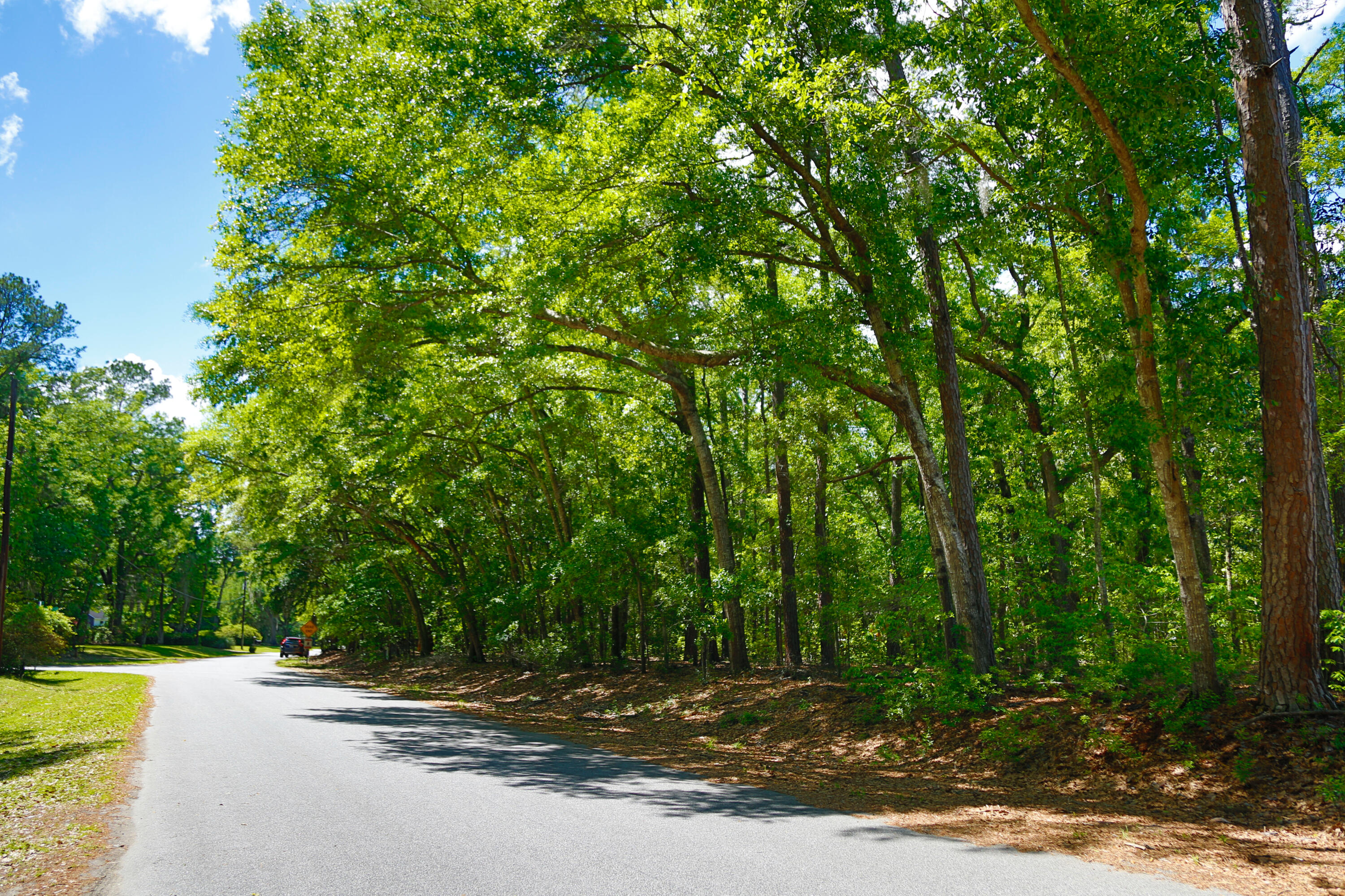 0 Francis Yonge Way Adams Run, SC 29426 - Photo 5 of 7 04.15.2023 - Dream Kinetics - Frances Y