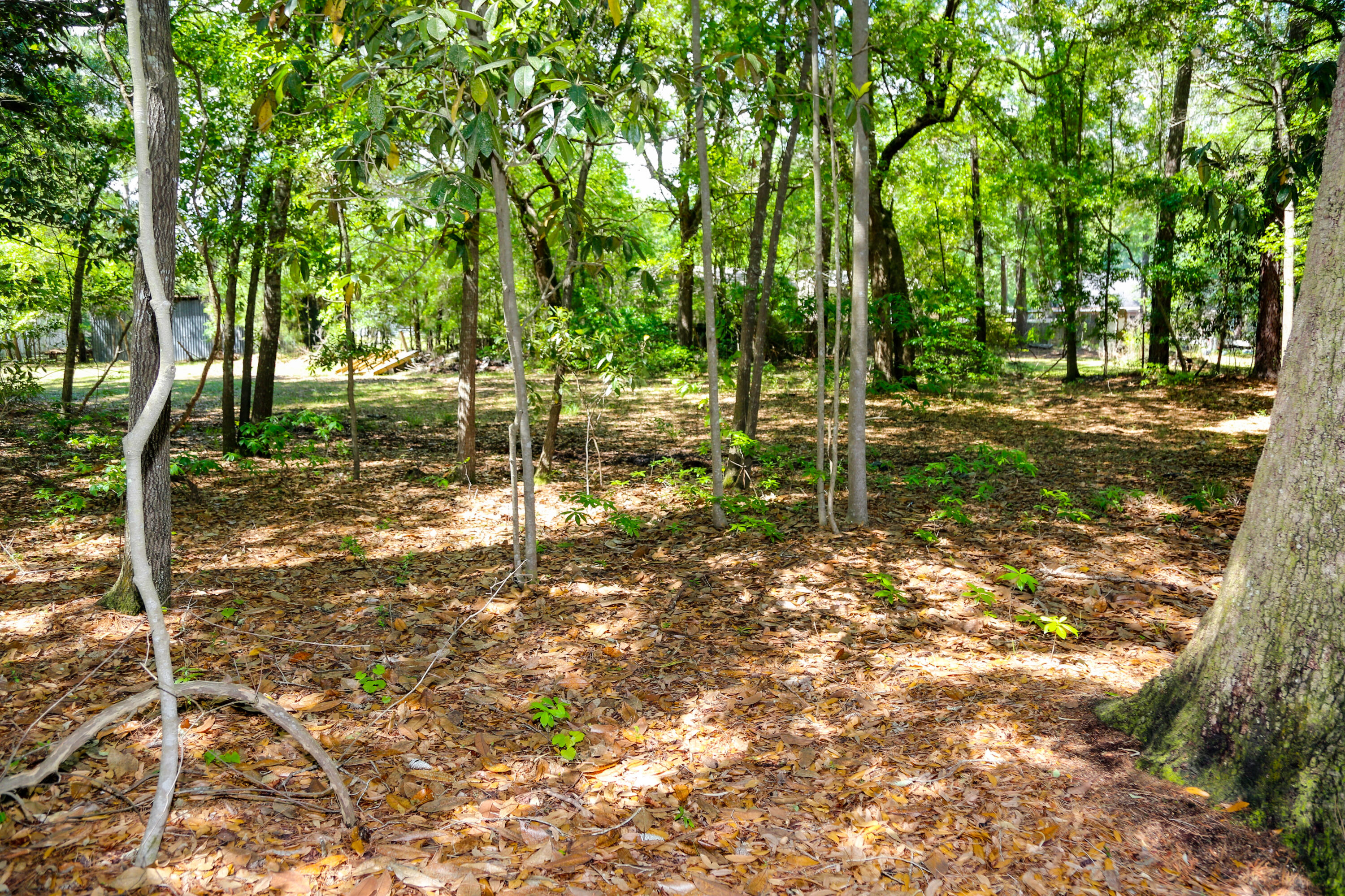 0 Francis Yonge Way Adams Run, SC 29426 - Photo 7 of 7 04.15.2023 - Dream Kinetics - Frances Y