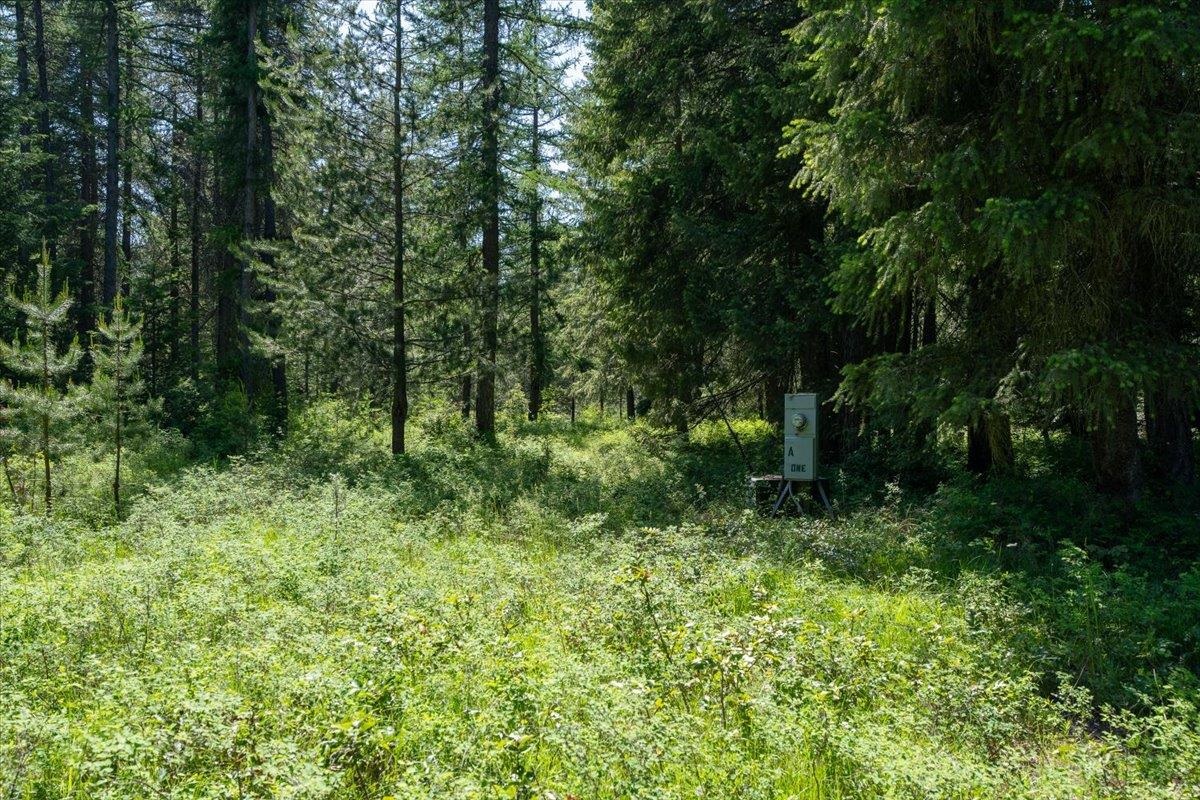 4668 Williams Valley Road Clayton, WA 99110 - Photo 29 of 44