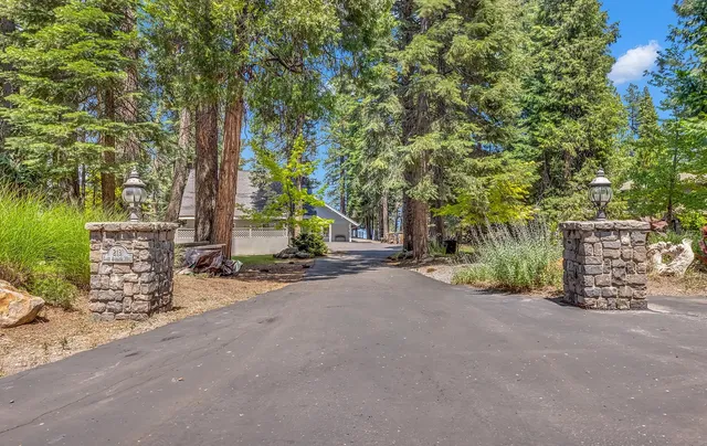 a view of a road with plants and a large tree