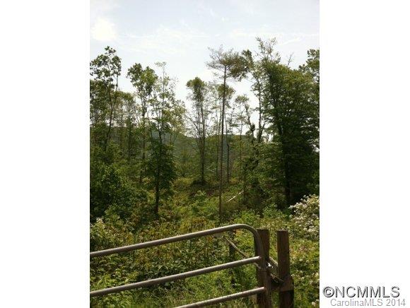 300 Barclay Road Brevard, NC 28712 - Photo 21 of 23 Gallery Image 21
