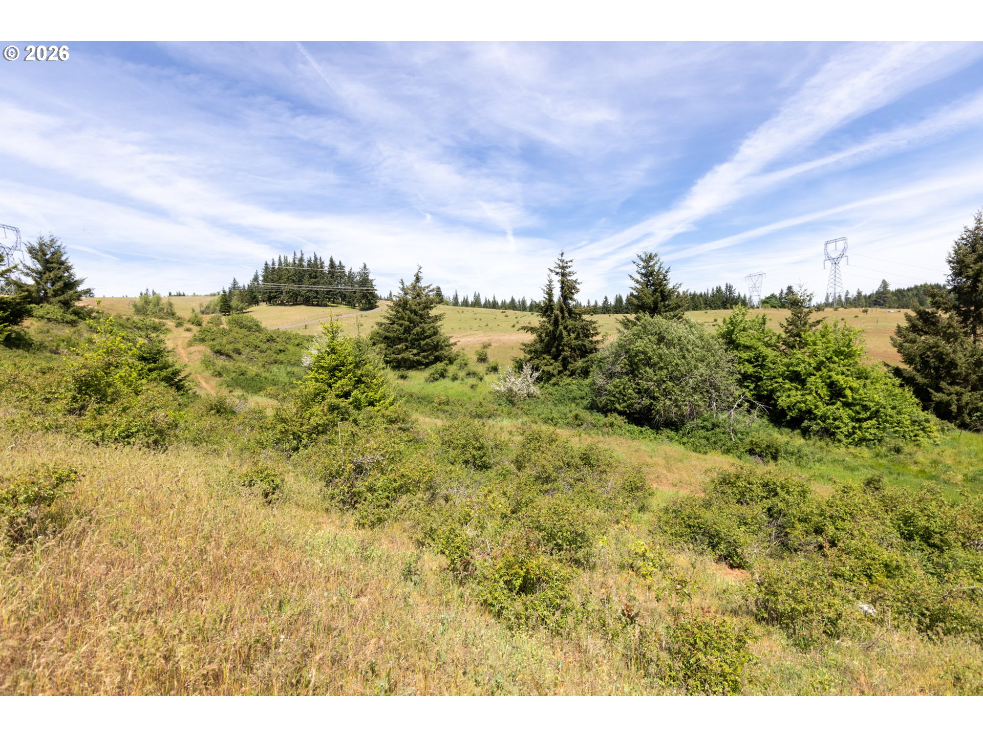 56 Pyatt Road White Salmon, WA 98672 - Photo 41 of 46