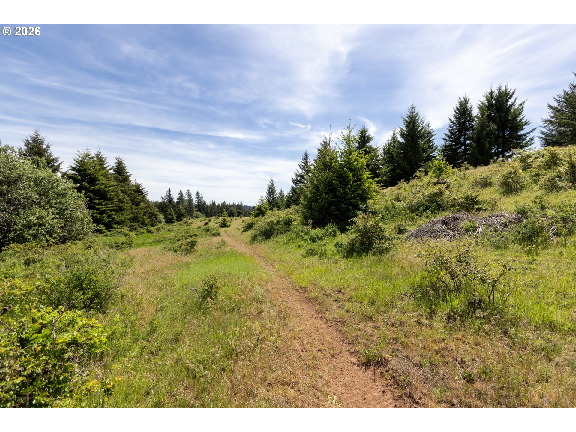 56 Pyatt Road White Salmon, WA 98672 - Photo 43 of 46