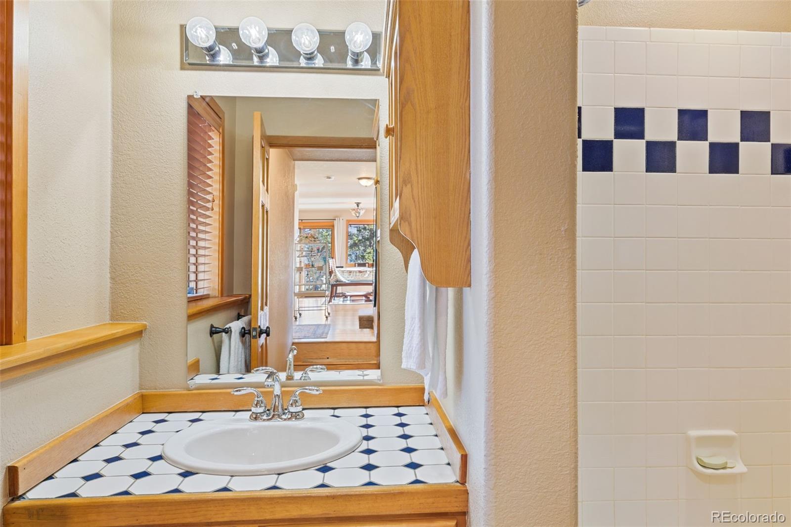 100 Mable Lane Bailey, CO 80421 - Photo 11 of 21 Gallery Image 11
