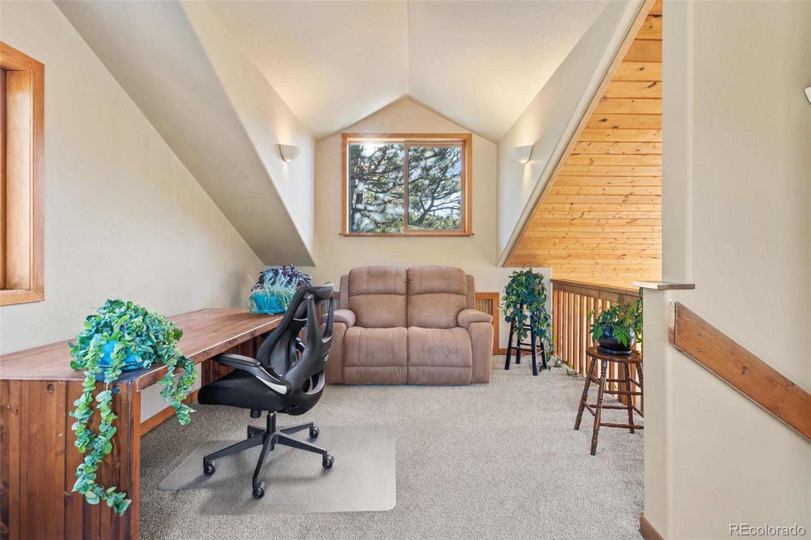 100 Mable Lane Bailey, CO 80421 - Photo 13 of 21 Gallery Image 13