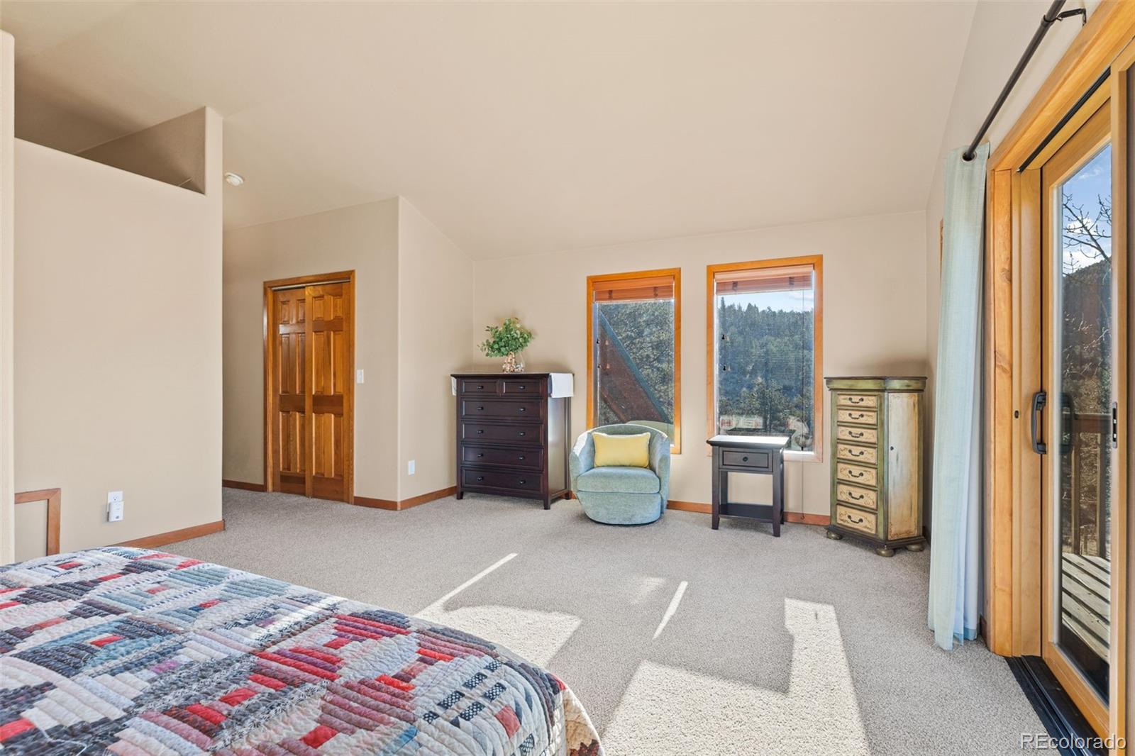 100 Mable Lane Bailey, CO 80421 - Photo 14 of 21 Gallery Image 14