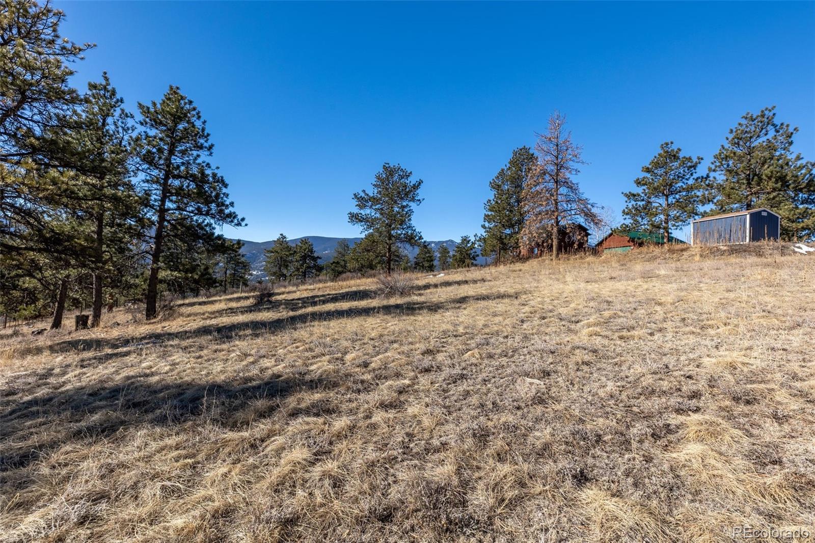 100 Mable Lane Bailey, CO 80421 - Photo 17 of 21 Gallery Image 17
