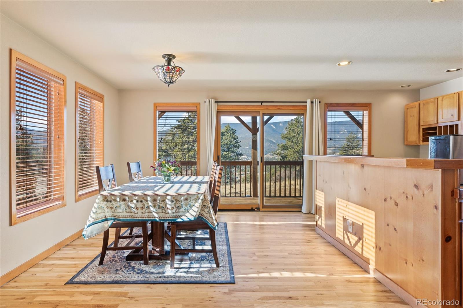 100 Mable Lane Bailey, CO 80421 - Photo 9 of 21 Gallery Image 9