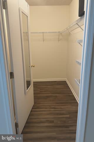 115-2 Brookland Terrace, Unit 2 Winchester, VA 22602 - Photo 10 of 24