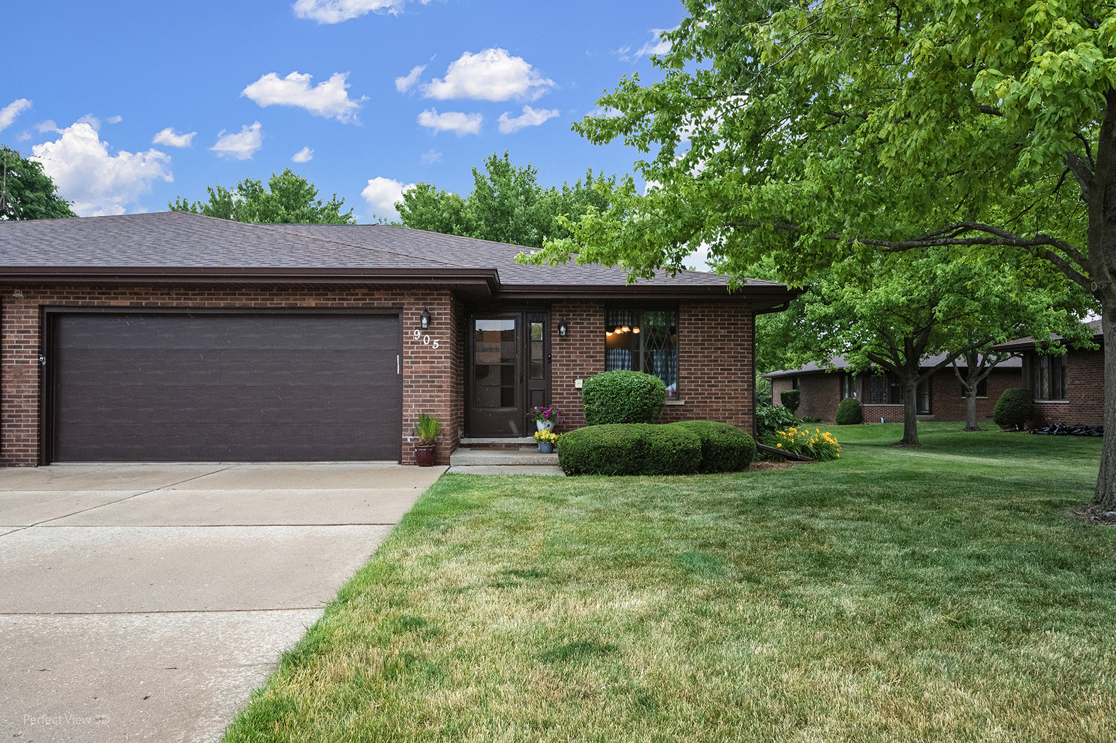 905 Shagbark Road, Unit 905 New Lenox, IL 60451 - Photo 2 of 21