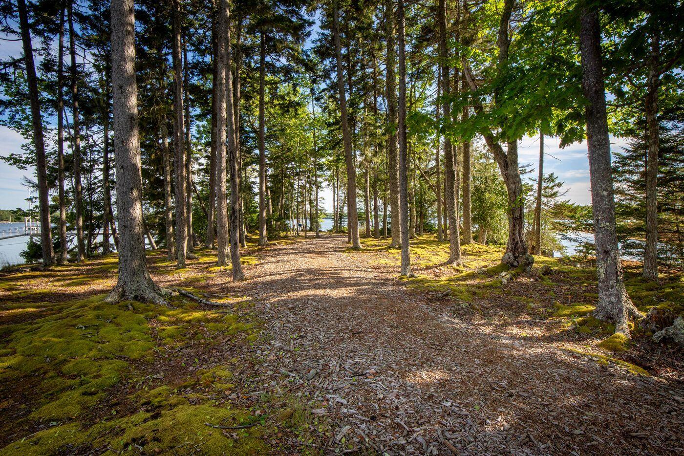 230 Keller Point Road Islesboro, ME 04848 - Photo 39 of 50 W39-ME2824_46