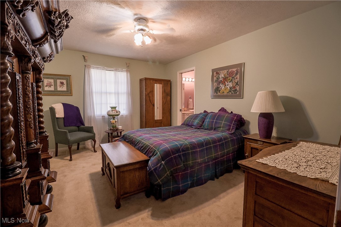 12853 Diagonal Road Lagrange, OH 44050 - Photo 28 of 42 Gallery Image 28