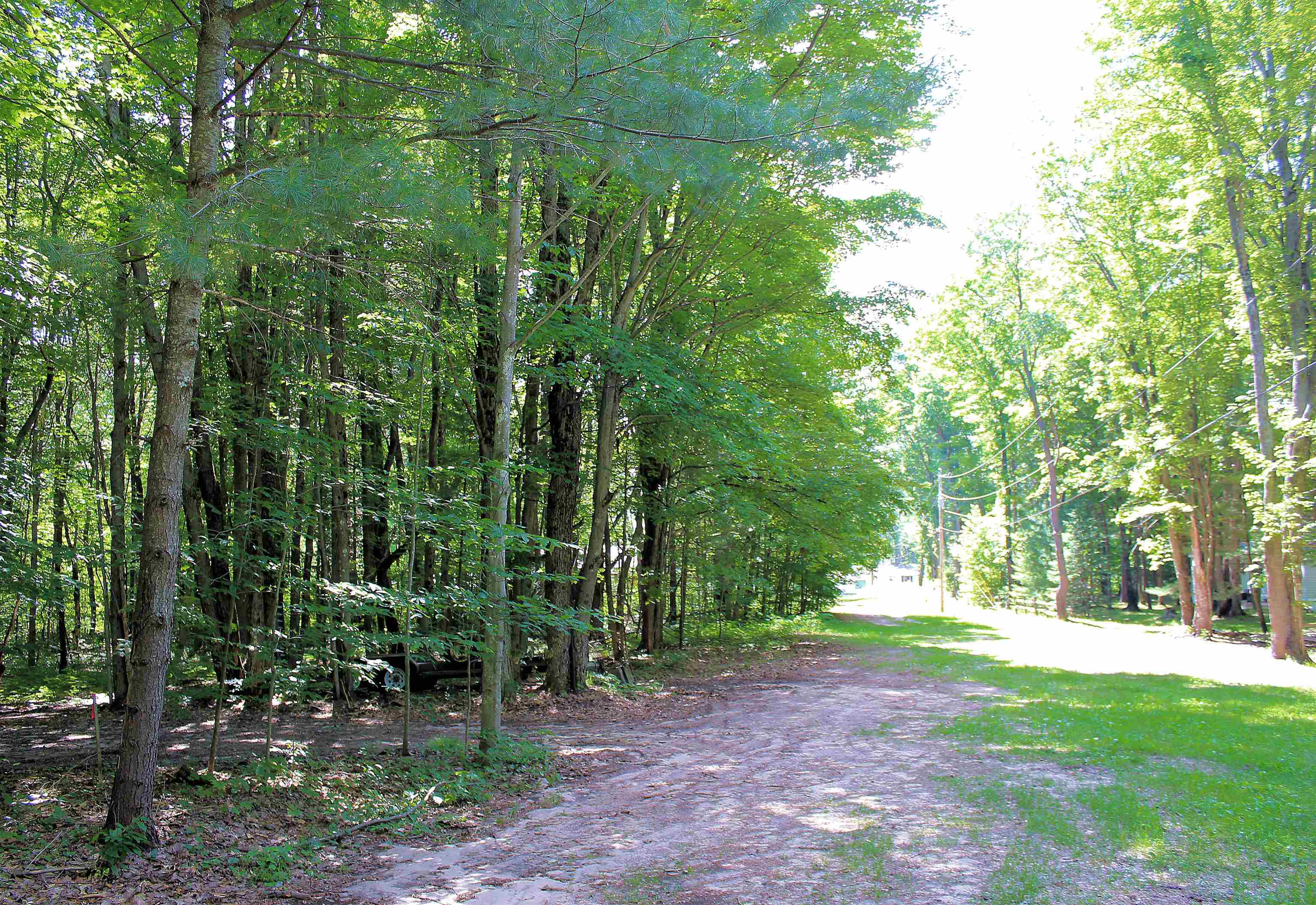 0 Northeast Chwastek Road Kalkaska, MI 49646 - Photo 12 of 18