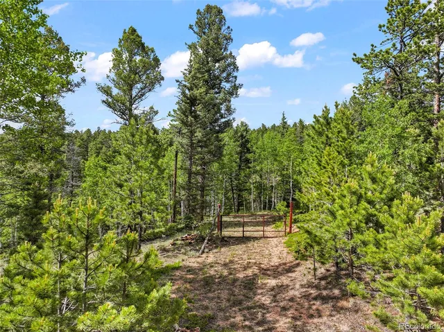 $73,900 | 65 Spruce Creek Road, Divide, CO 80814