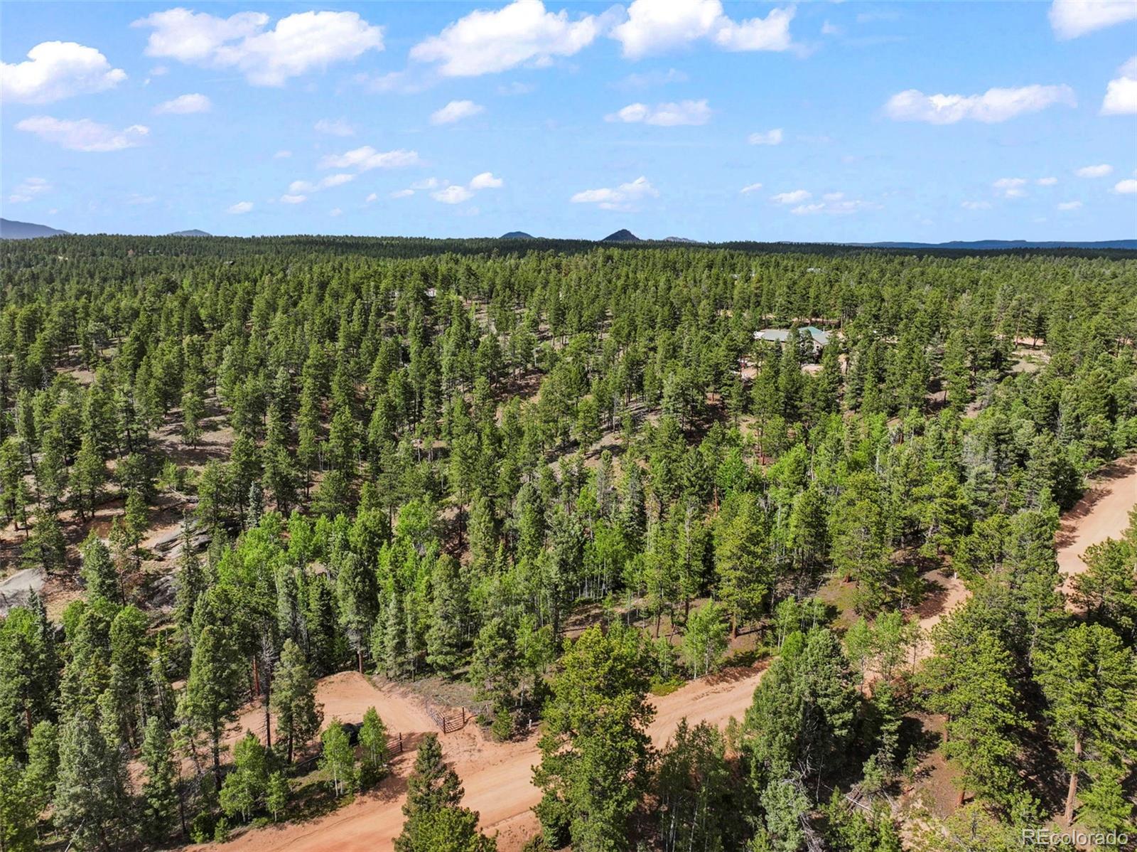 65 Spruce Creek Road Divide, CO 80814 - Photo 11 of 21