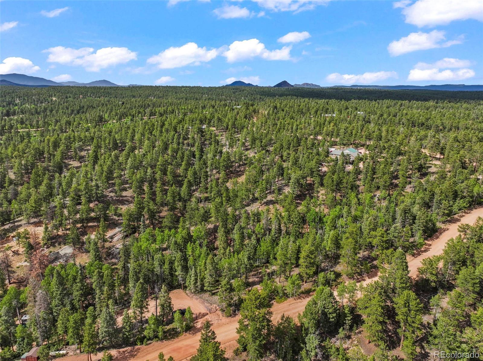 65 Spruce Creek Road Divide, CO 80814 - Photo 12 of 21