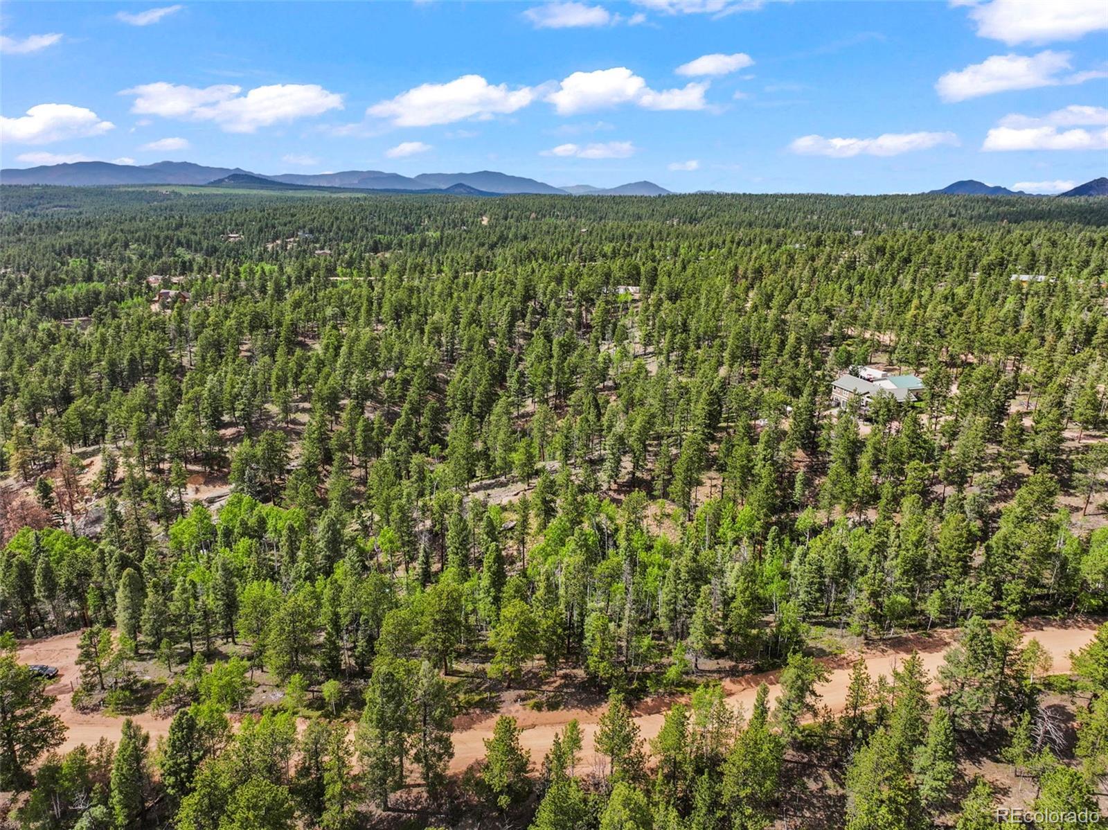 65 Spruce Creek Road Divide, CO 80814 - Photo 13 of 21