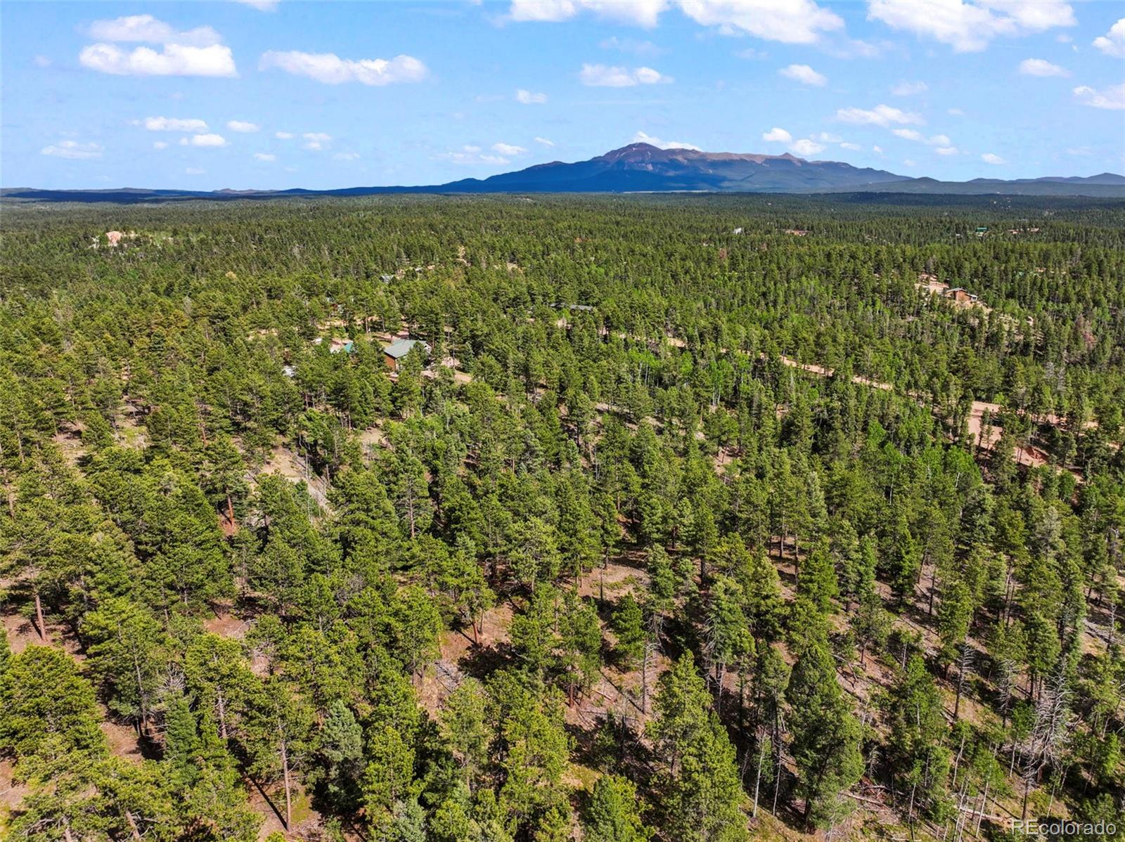 65 Spruce Creek Road Divide, CO 80814 - Photo 18 of 21