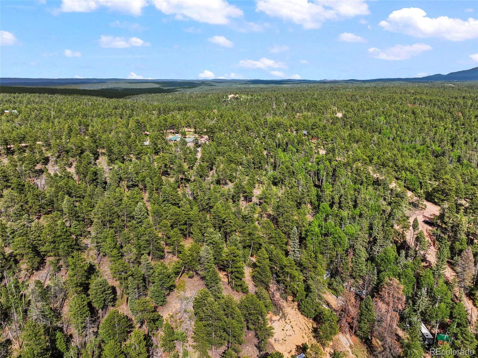 65 Spruce Creek Road Divide, CO 80814 - Photo 19 of 21