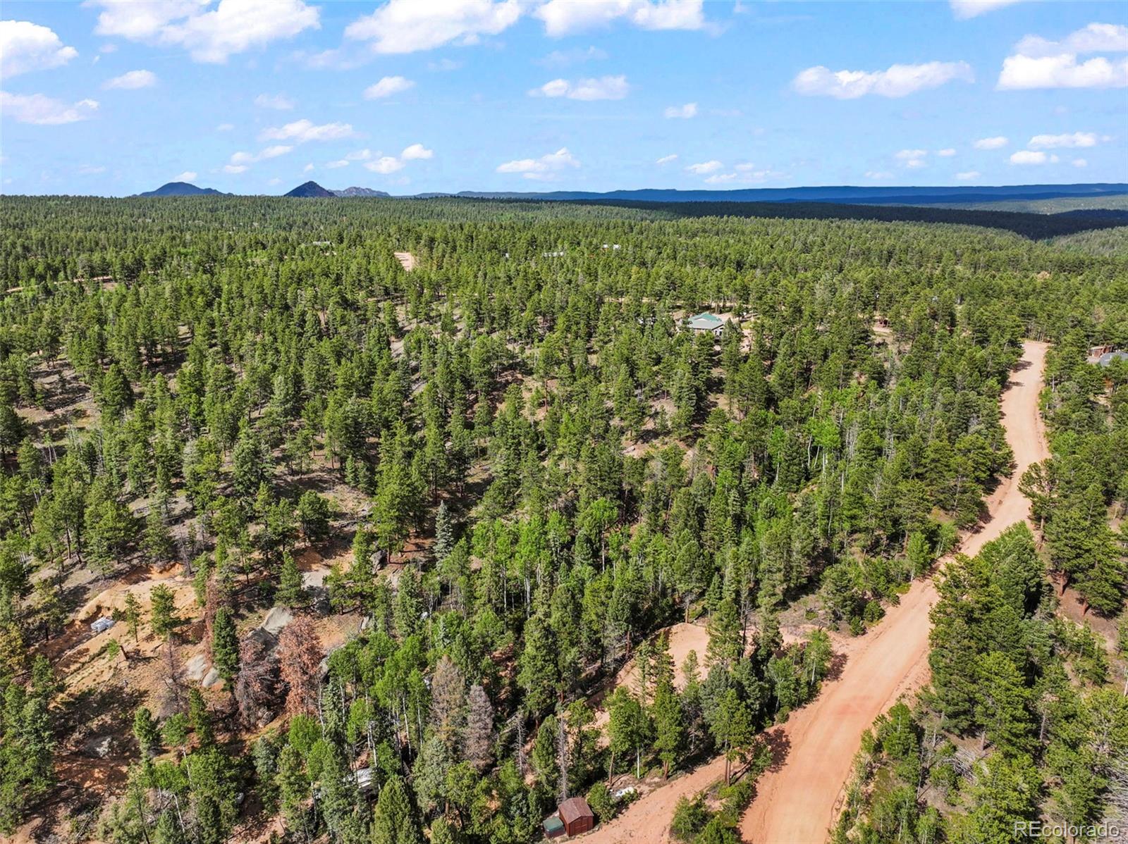 65 Spruce Creek Road Divide, CO 80814 - Photo 20 of 21