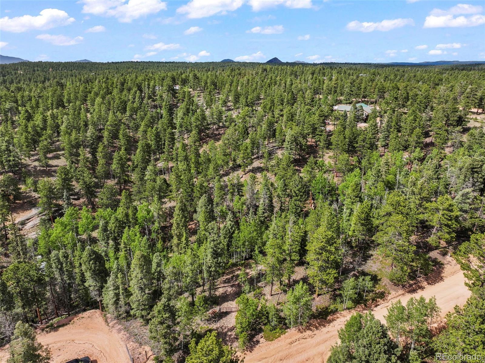 65 Spruce Creek Road Divide, CO 80814 - Photo 2 of 21