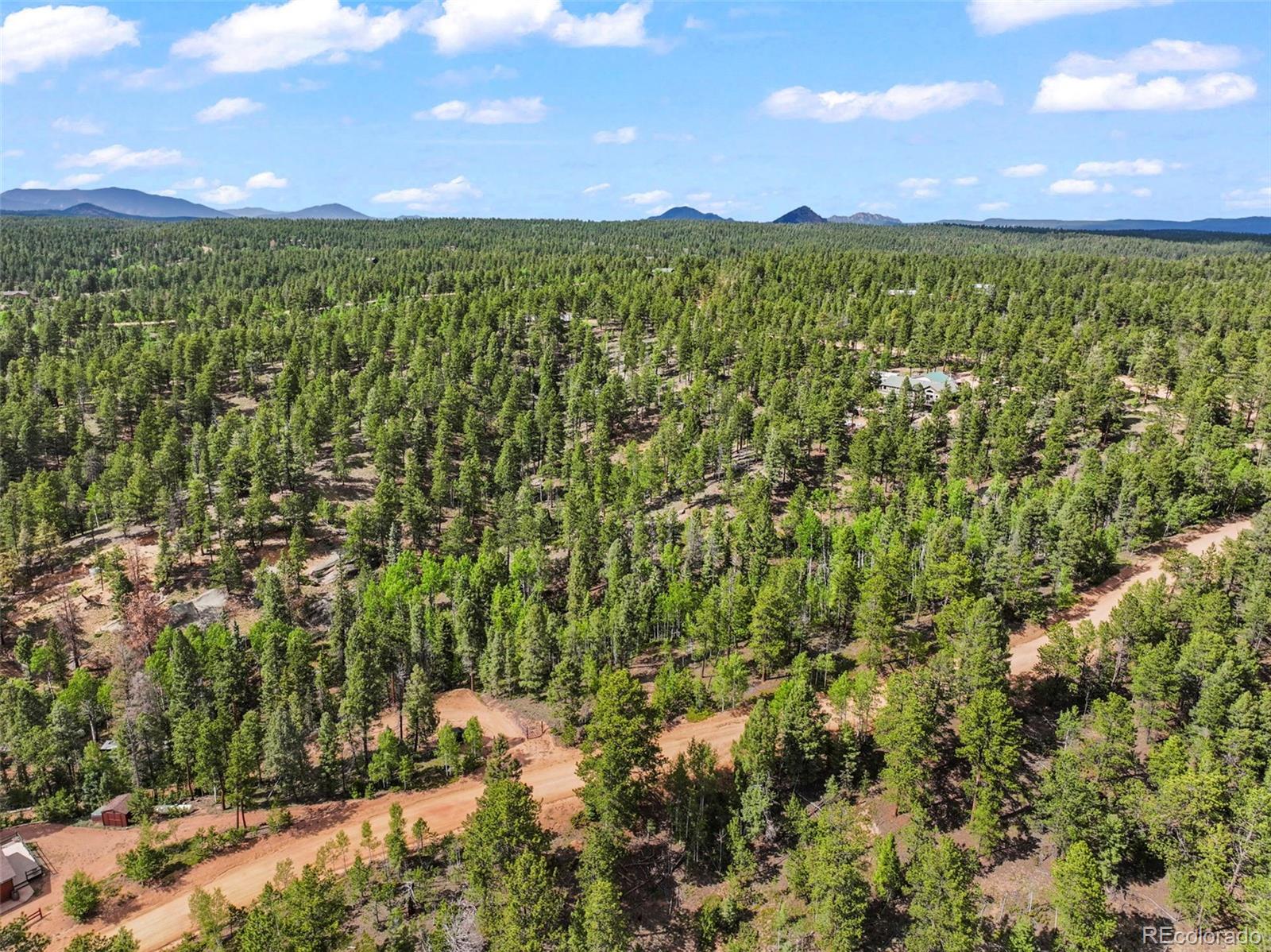 65 Spruce Creek Road Divide, CO 80814 - Photo 21 of 21